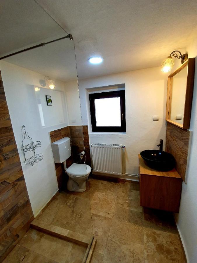 Maximus Apartments Сігішоара Екстер'єр фото